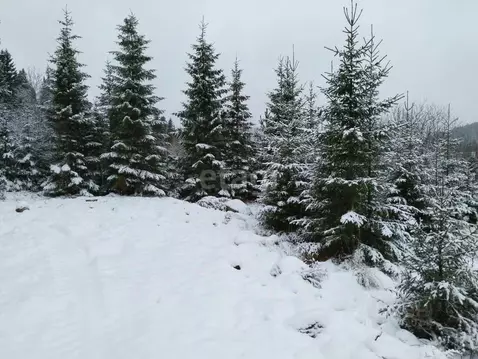 Участок в Свердловская область, Нижний Тагил муниципальный округ, пос. ...