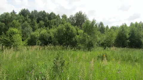 Участок в Московская область, Рузский муниципальный округ, пос. ...