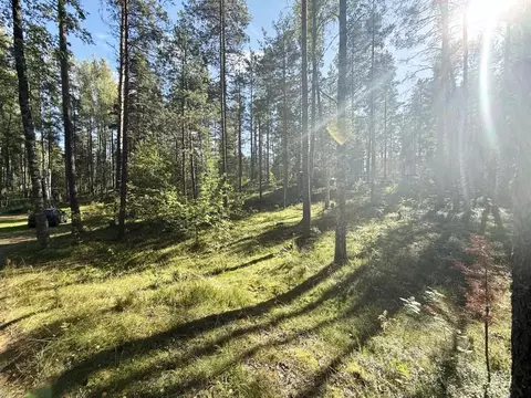 Участок в Ленинградская область, Всеволожский район, Куйвозовское ...
