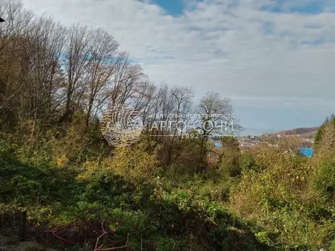 Участок в Краснодарский край, Сочи А-147, 137-й км (7.0 сот.)