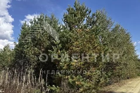 Участок в Свердловская область, Белоярский муниципальный округ, пос. ...