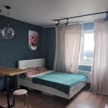 Студия Московская область, Домодедово Южный мкр, ул. ...