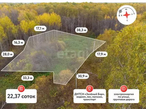 Участок в Тюменская область, Тюмень Зеленый Бор ДНТСН,  (22.37 сот.)