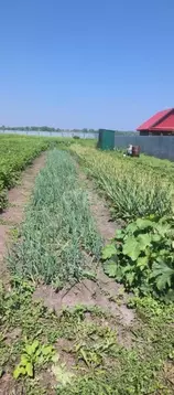 Участок в Башкортостан, Гафурийский район, Мраковский сельсовет, д. ...