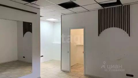 Помещение свободного назначения в Коми, Сыктывкар ул. Маегова, 21 (35 ...