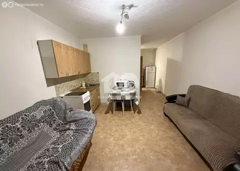 Квартира-студия: Искитим, микрорайон Южный, жилмассив Ясный, 21 (27.5 ...