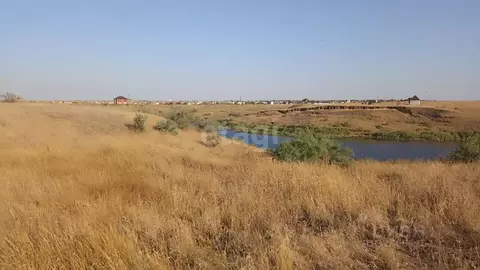 Участок в Крым, Ленинский район, Батальненское с/пос, Нептун СНТ  ...