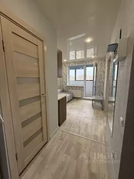 Студия Воронежская область, Воронеж Ростовская ул., 100БкА (21.0 м)