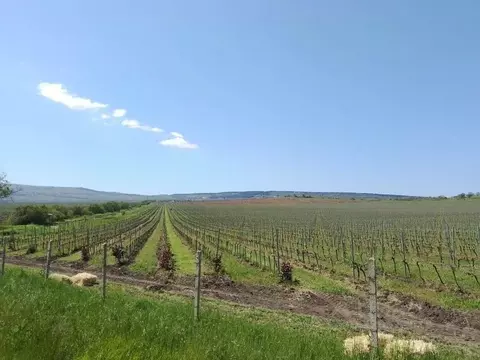 Участок в Севастополь, Севастополь, Балаклава г. ул. Василия Жукова ...