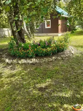 Дом в Тверская область, Осташковский муниципальный округ, д. Панюки  ...