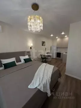 Студия Тюменская область, Тюмень ул. Новоселов, 90 (29.0 м)