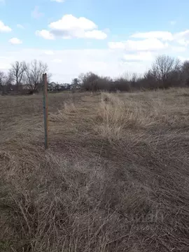 Участок в Воронежская область, с. Новая Усмань пл. Мира (15.0 сот.)