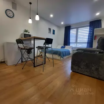 Студия Новосибирская область, Новосибирск ул. Фрунзе, 252/1 (25.0 м)