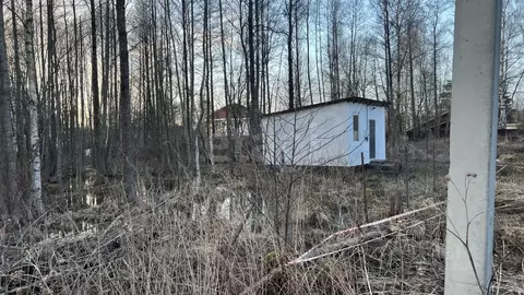 Участок в Санкт-Петербург Поселок Лисий НОС, Раздельная тер.,  (12.0 ...