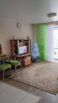 Студия Омская область, Омск Светловская ул., 10 (26.9 м)