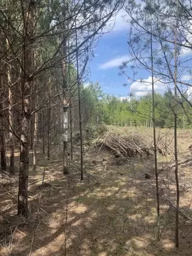 Участок в Свердловская область, Сысертский муниципальный округ, пос. ...