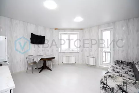 Студия Омская область, Омск ул. Мишина, 2 (28.6 м)