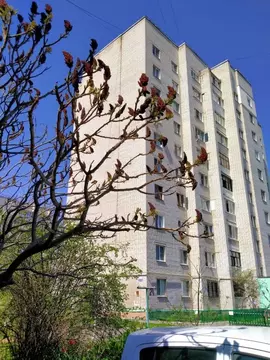 2-к кв. Курская область, Курск ул. Черняховского, 24 (50.6 м)