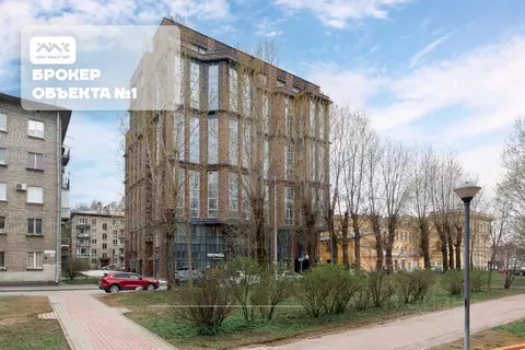 Помещение свободного назначения в Санкт-Петербург ул. Помяловского, 3 ...
