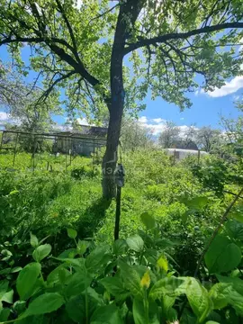 Дом в Брянская область, Брянск Рассвет СНТ, 177 (621 м)