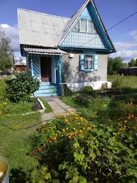 Дом в Забайкальский край, Читинский район, Островок СНТ 87 (36 м)