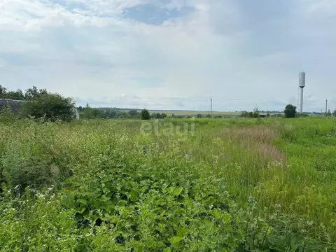 Участок в Брянская область, Выгоничский район, Кокинское с/пос, с. ...