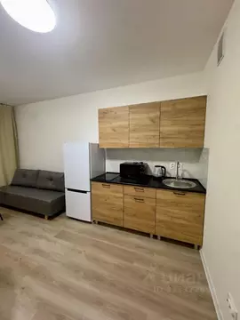 Студия Санкт-Петербург ул. Пахомовская, 14к2 (23.4 м)