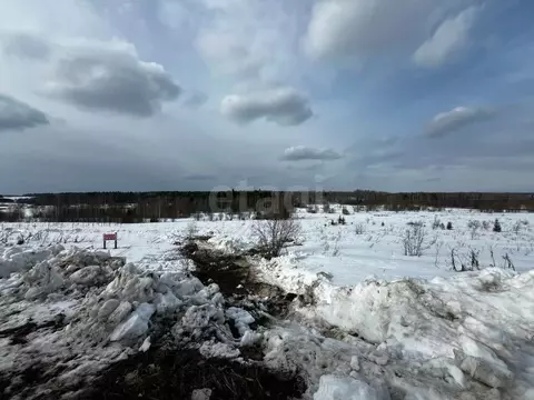 Участок в Вологодская область, пос. Сосновка  (30.0 сот.)