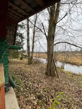 Дом в Новгородская область, Батецкий муниципальный округ, д. Ташино 19 ...