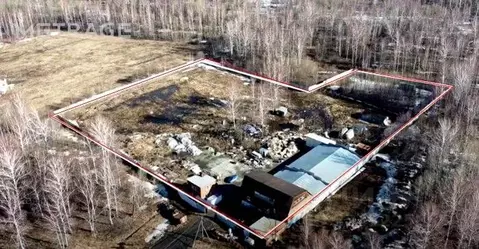 Помещение свободного назначения в Новосибирская область, Мошковский ...