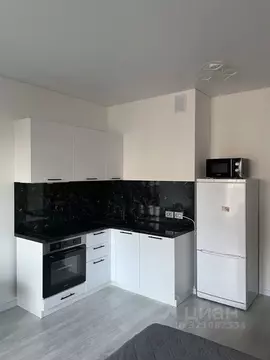 Студия Санкт-Петербург Дальневосточный просп., 23 (25.0 м)