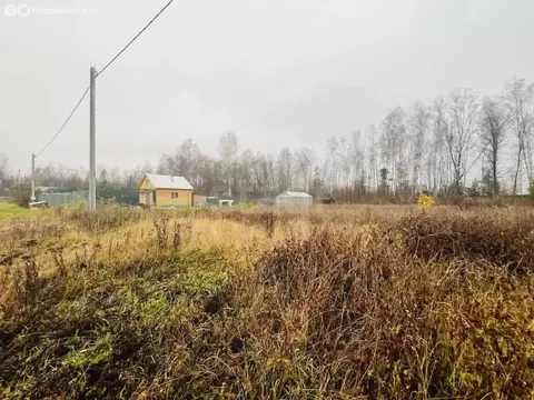 Участок в Владимирская область, Петушинский муниципальный округ, ...