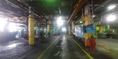 Производственное помещение в Московская область, Ногинск Богородский ...