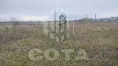 Участок в Воронежская область, Воронеж ул. Ивана Осадчука (6.0 сот.)