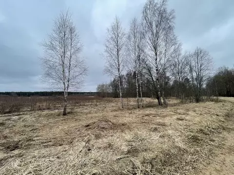 Участок в Тверская область, Торжокский муниципальный округ, д. Поречье ...