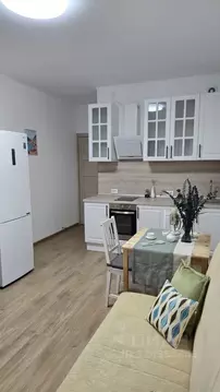 Студия Санкт-Петербург ул. Плесецкая, 20к1 (24.0 м)