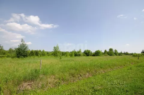 Участок в Тюменская область, Тюменский муниципальный округ, Ежевика дп ...