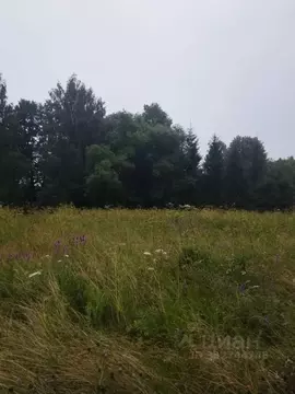 Участок в Московская область, Ступино городской округ, д. Чирково  ...
