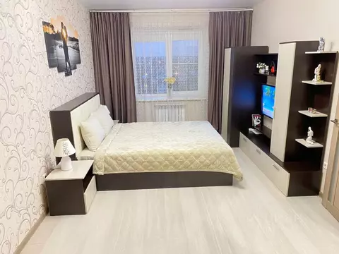 1-к кв. Тамбовская область, Тамбов Мичуринская ул., 213Г (42.0 м)