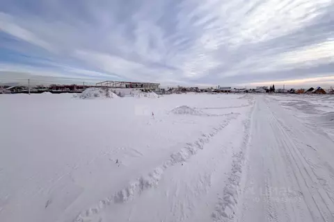 Участок в Новосибирская область, Новосибирский район, Морской ...