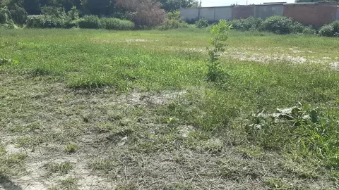 Участок в Саратовская область, Балашов ул. Софинского, 18 (18.0 сот.)