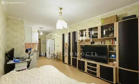 Квартира-студия: Санкт-Петербург, Мебельная улица, 19к2 (24.4 м)