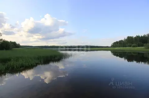 Дом в Вологодская область, Шекснинский муниципальный округ, Полянка ...