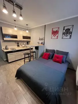 Студия Ленинградская область, Ломоносовский район, Виллозское ...