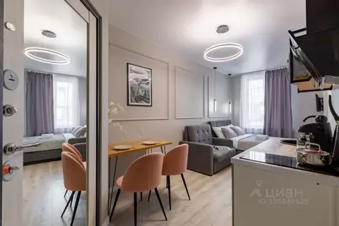 Студия Санкт-Петербург наб. Реки Фонтанки, 127 (16.0 м)