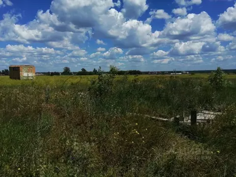 Участок в Курская область, Горшеченский район, Куньевский сельсовет, ...