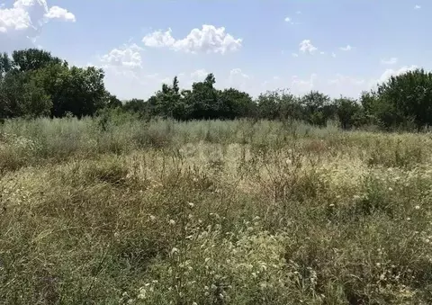 Участок в Ростовская область, Аксайский район, Мишкинская ст-ца  (12.0 ...