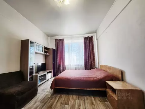 Комната Московская область, Балашиха ул. Керамическая, 24 (19.2 м)