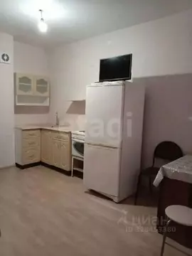 Студия Пермский край, Пермь ул. Космонавта Беляева, 61В (30.0 м)