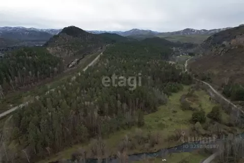 Участок в Алтайский край, Алтайский район, с. Нижнекаянча ул. ...